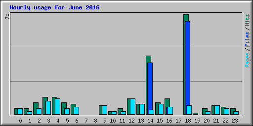 Hourly usage for June 2016