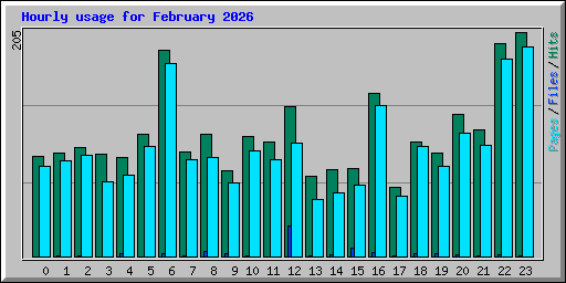 Hourly usage for February 2026