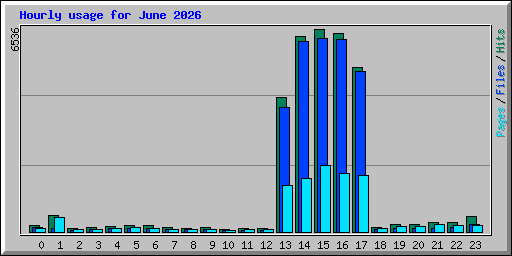 Hourly usage for June 2026
