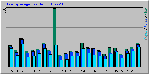 Hourly usage for August 2026