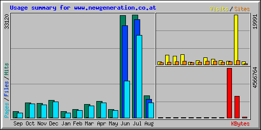 Usage summary for www.newgeneration.co.at